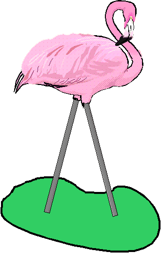 Phyllis Flamingo